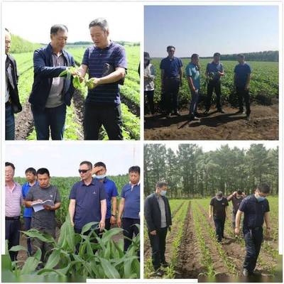 深化农业科技产学研合作 助推现代农业高质量发展